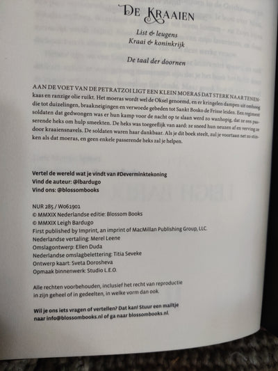 De verminkte koning