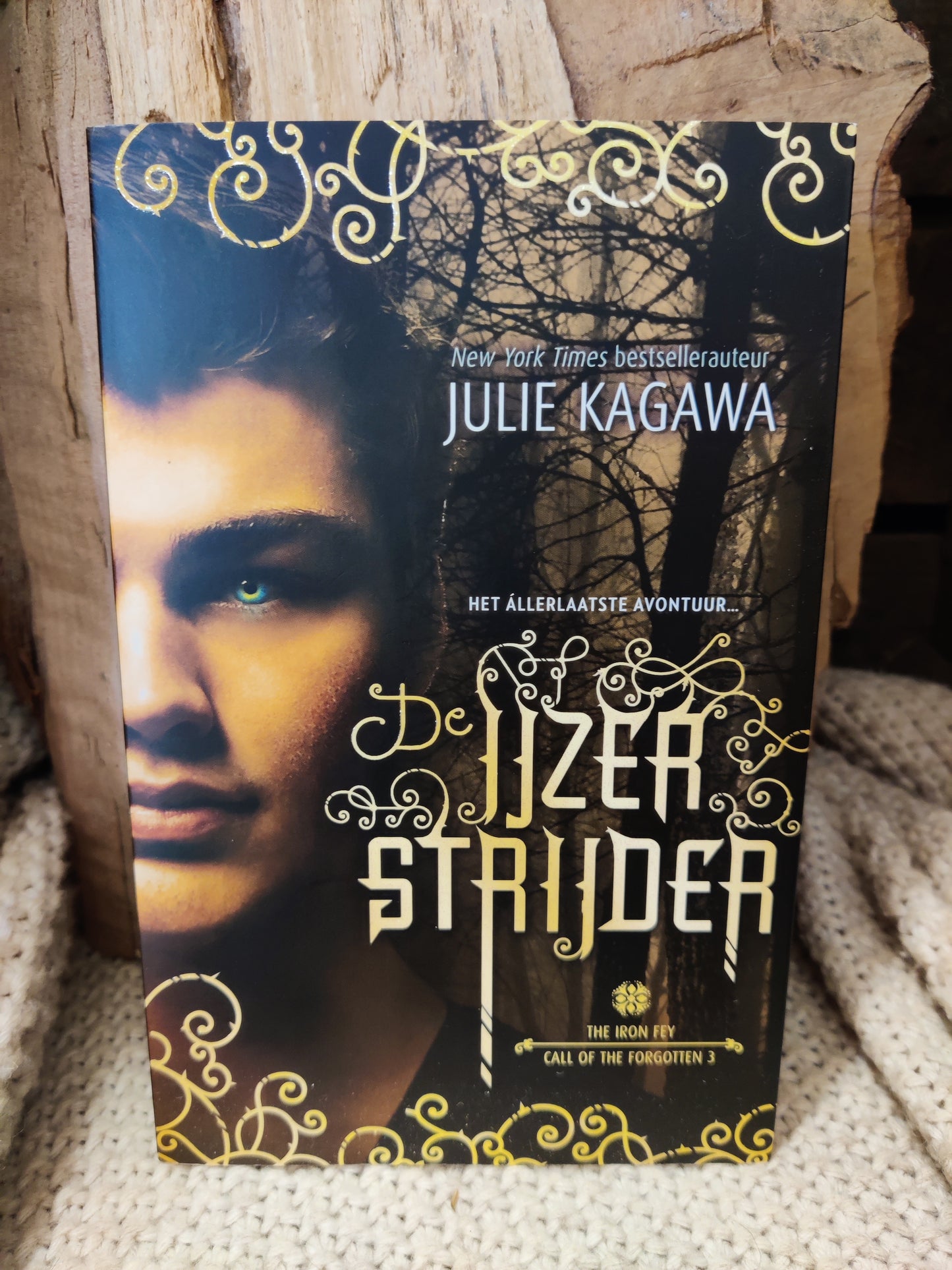 De IJzerstrijder