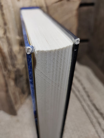 Gevangen in een Boek