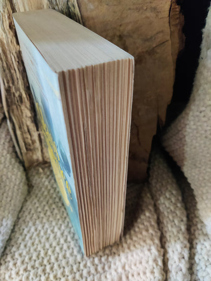 Complete Mapmakers trilogie