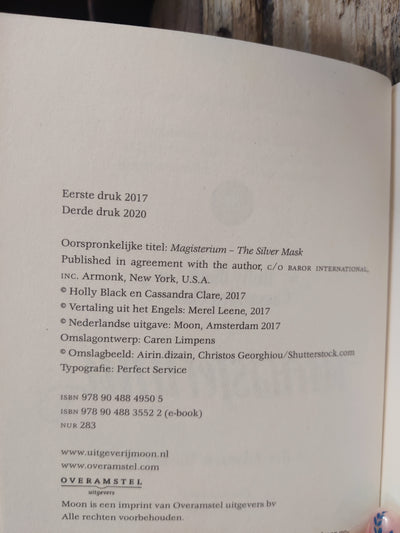 Het Zilveren Masker
