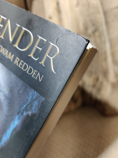 De man die de aarde kwam redden