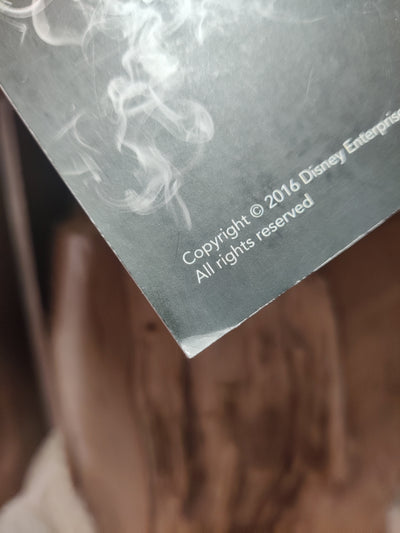 Foto van het boek