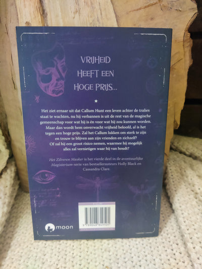 Het Zilveren Masker