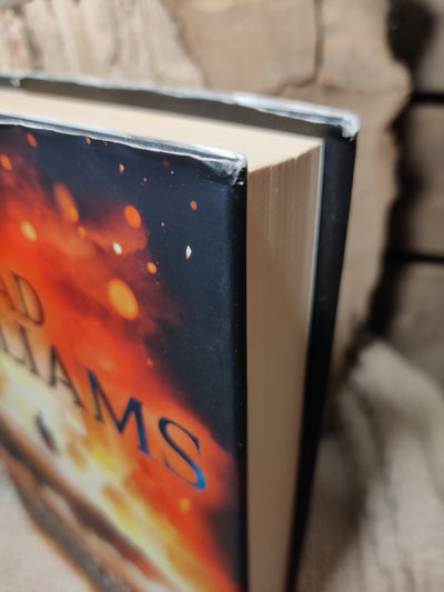 Foto van het boek