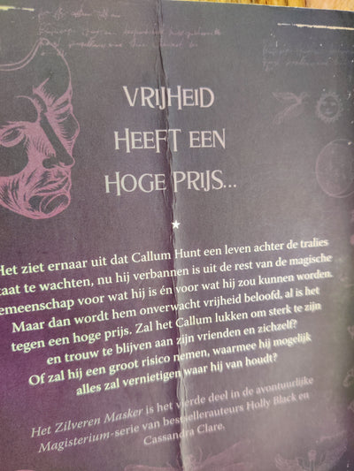 Het Zilveren Masker