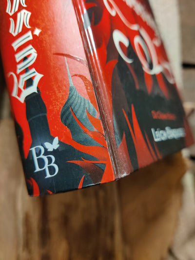 Foto van het boek