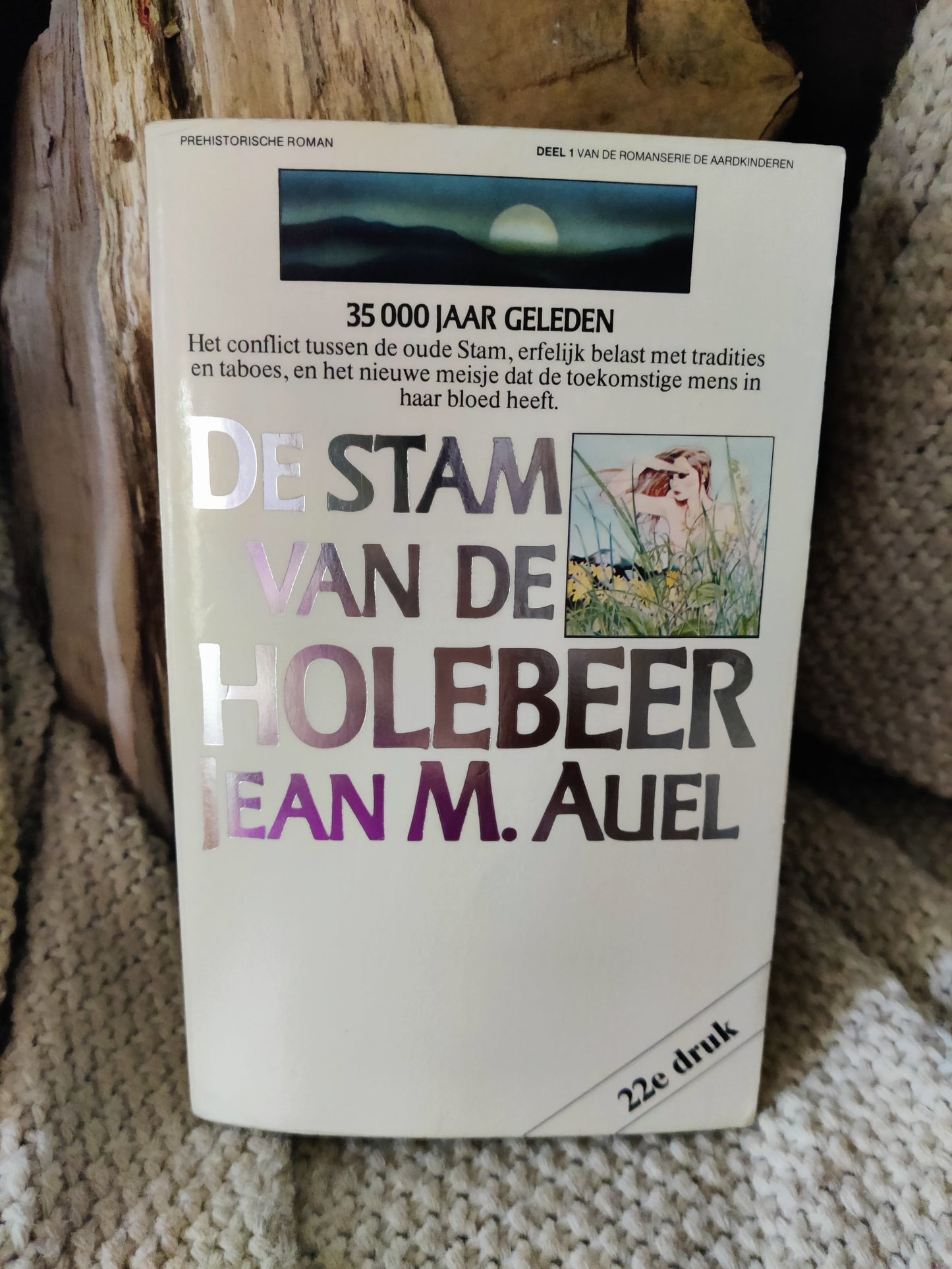De stam van de Holebeer