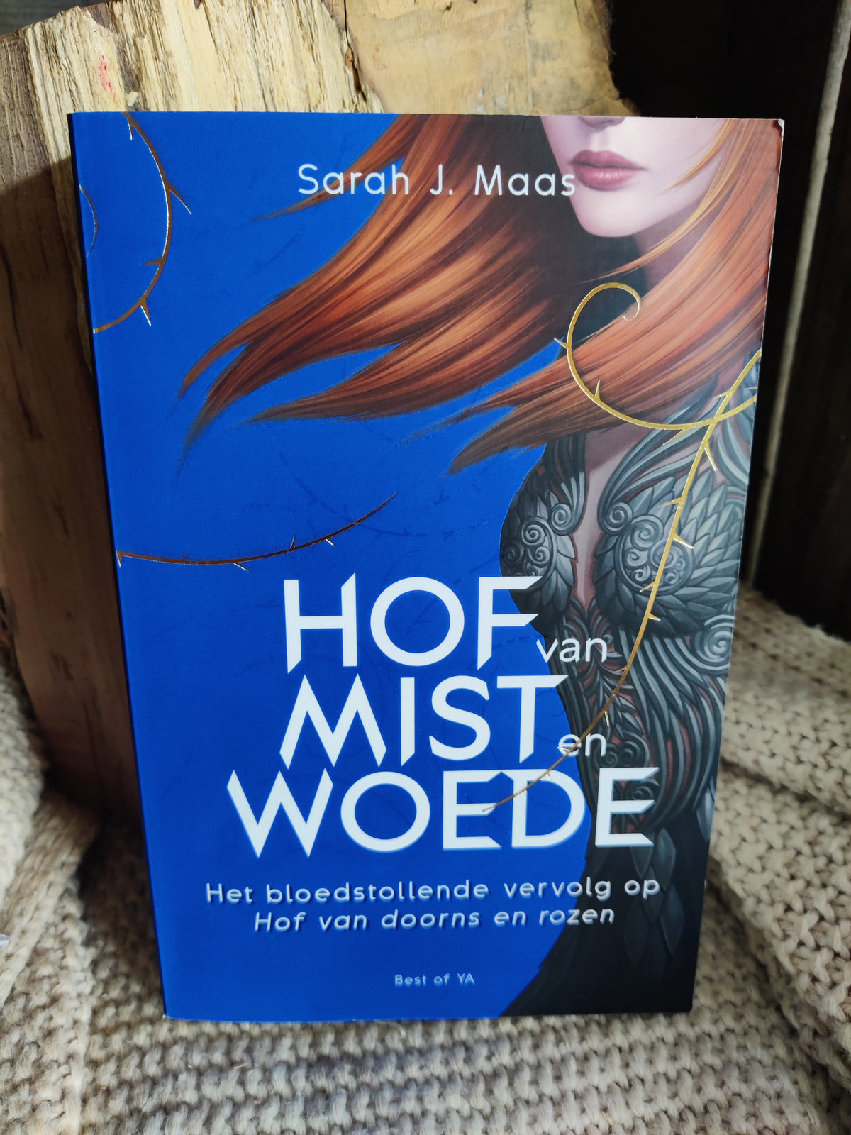 Hof van Mist en Woede