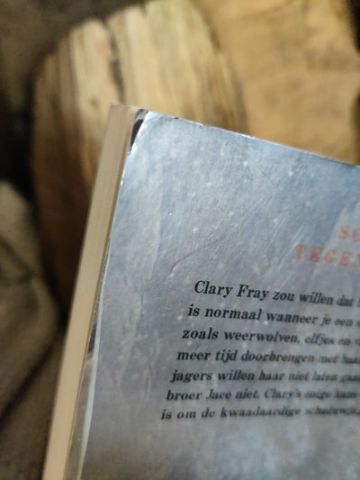 Foto van het boek