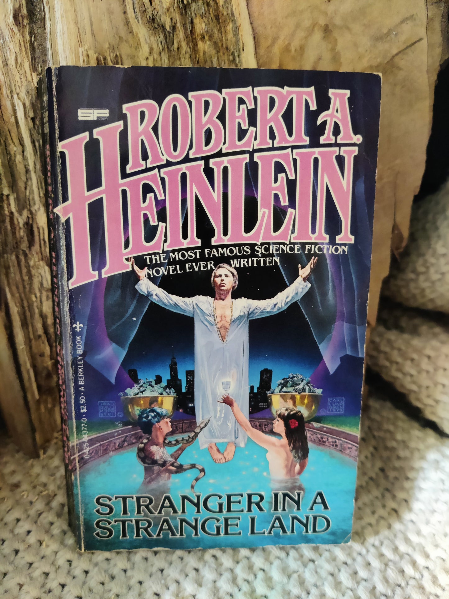 Stranger in a strange land