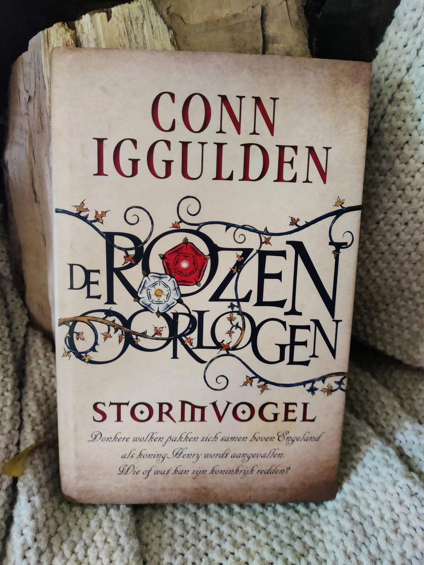 Stormvogel