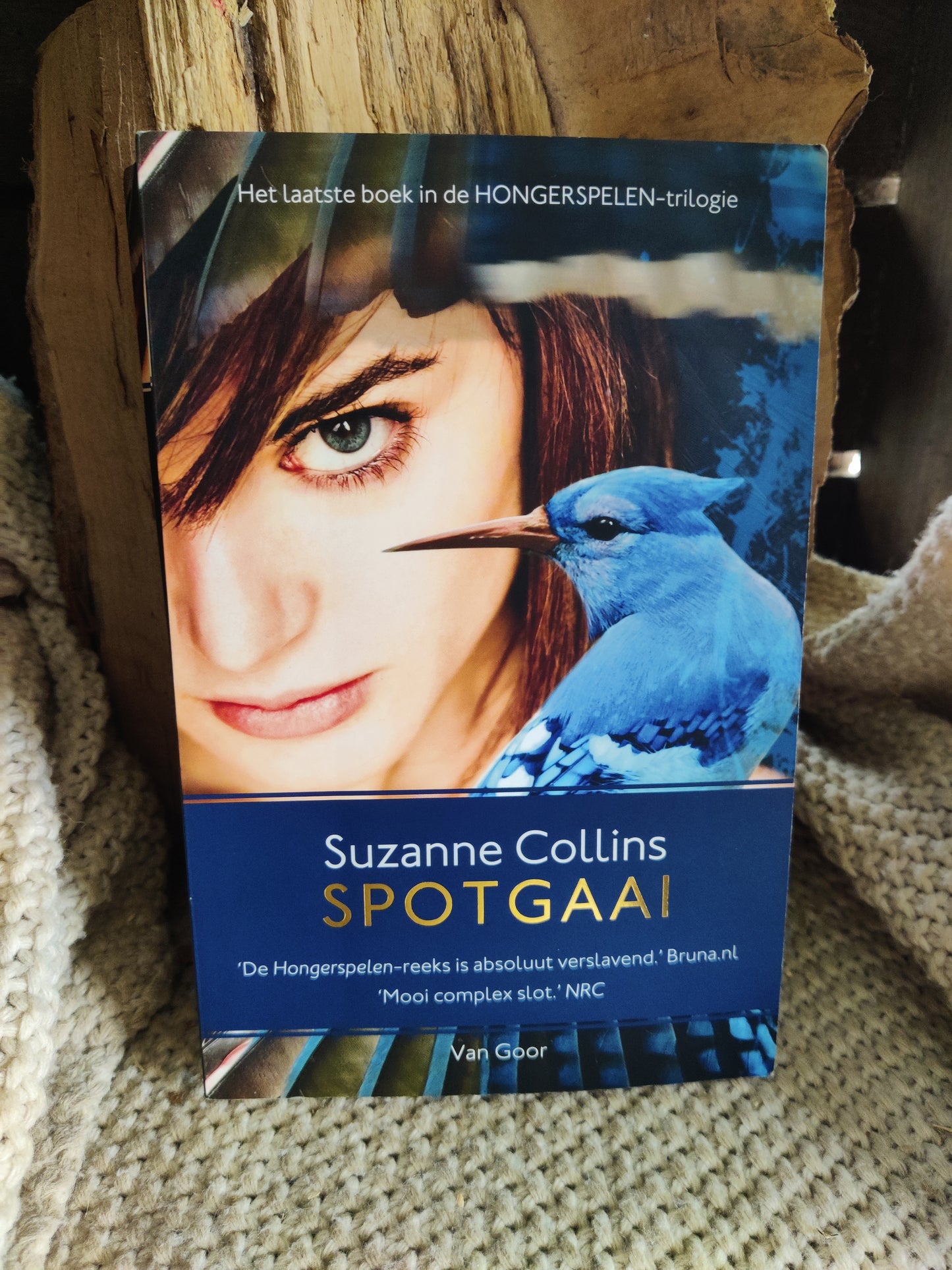 Spotgaai
