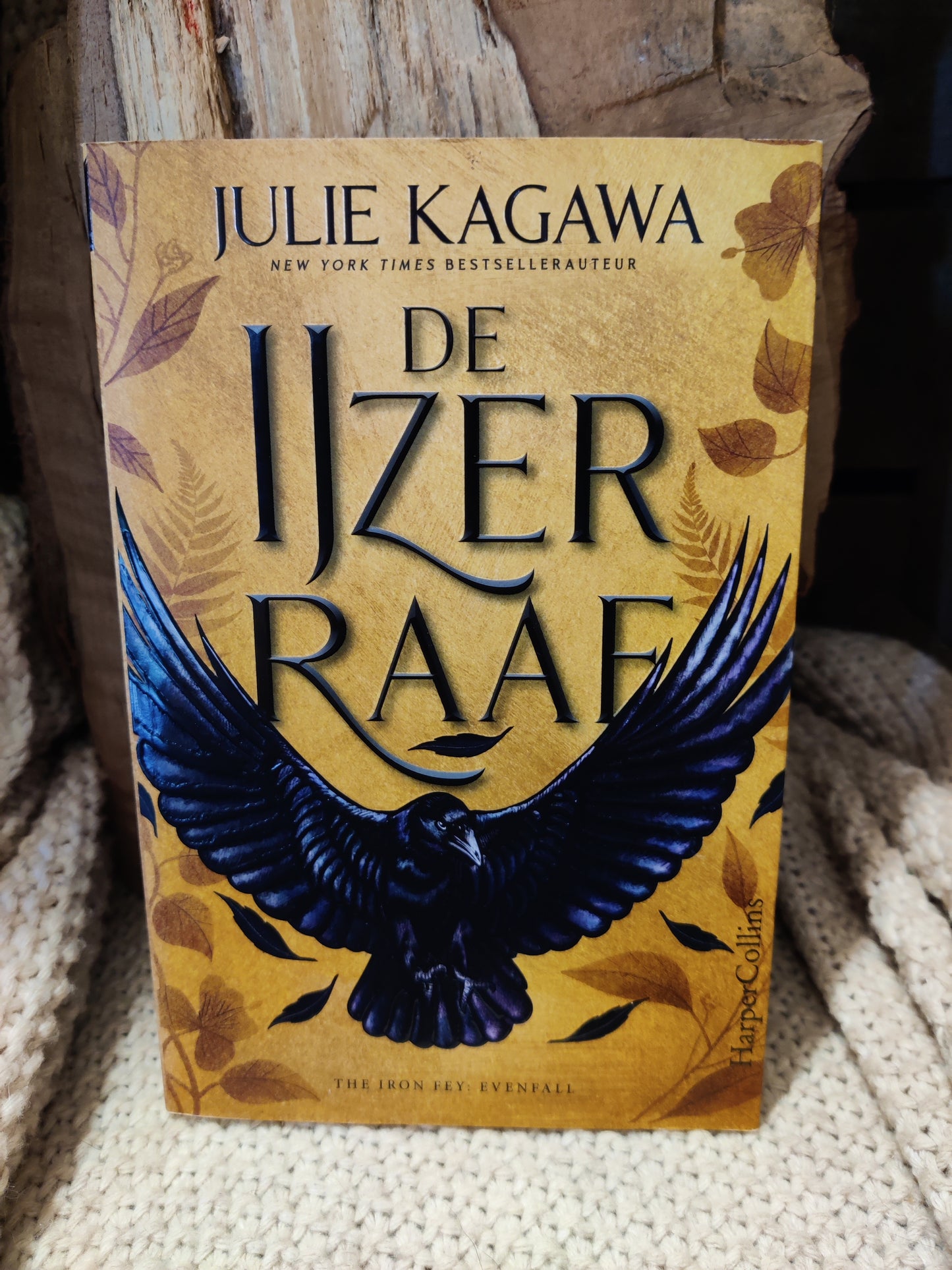De IJzerraaf