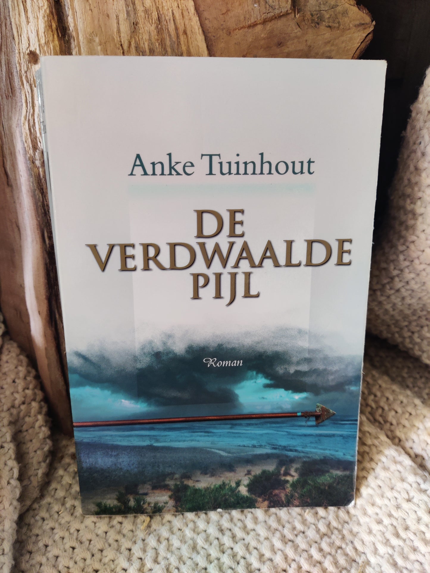 De Verdwaalde pijl