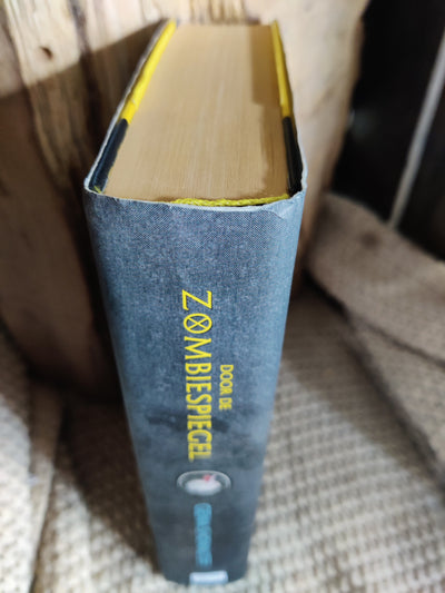 Door de Zombiespiegel