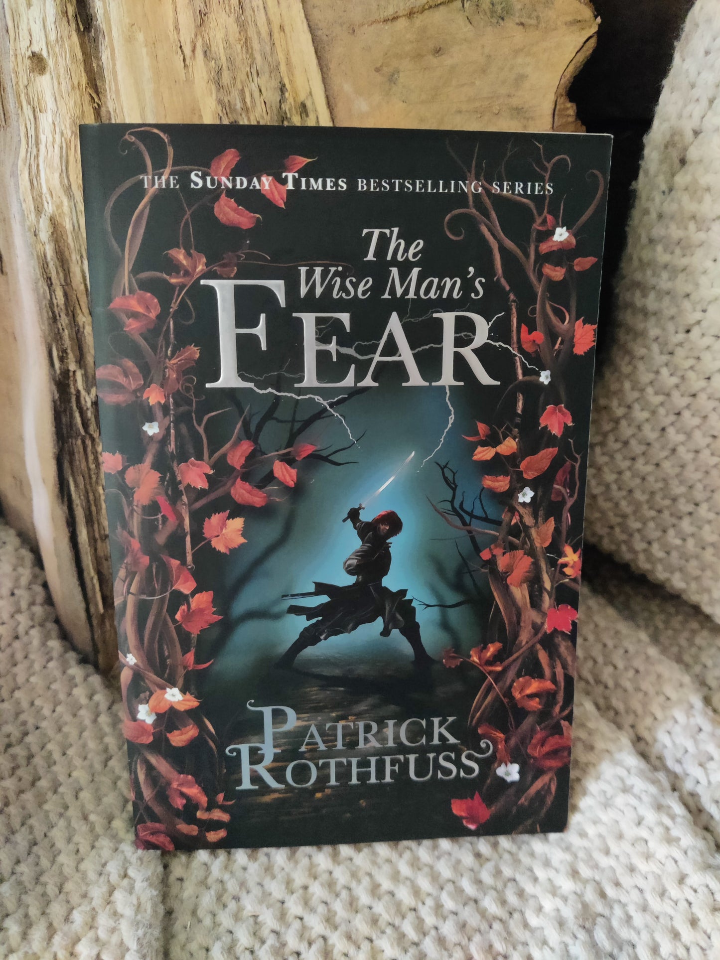 The Wise Man's Fear