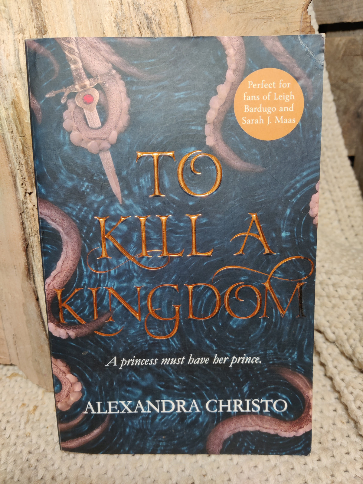 Boekkaft van To kill a kingdom door Alexandra Christo - Boekendraak