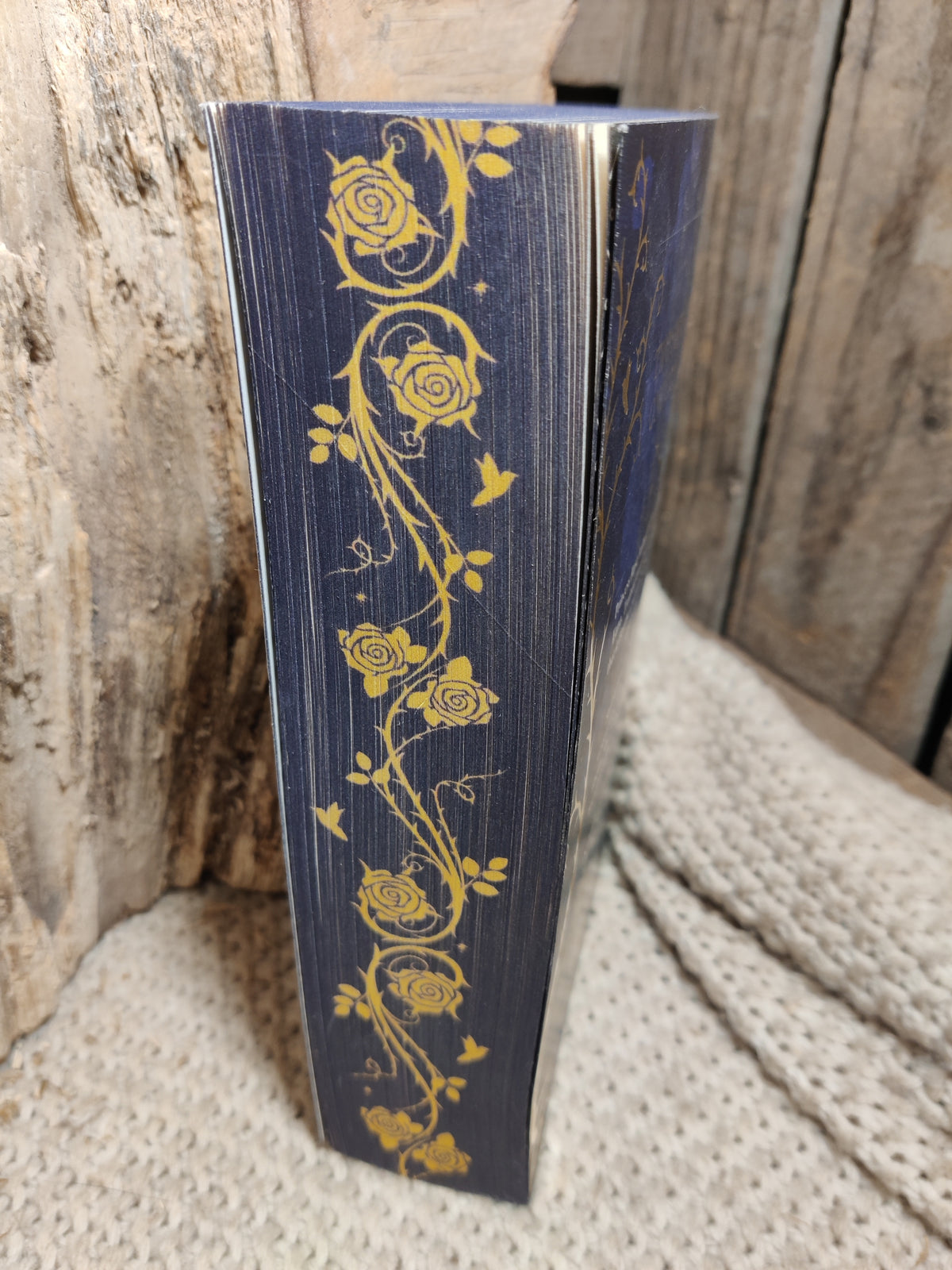 Sprayed-edges van Twin Crowns door Catherine Doyle - Boekendraak